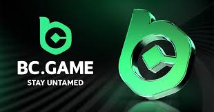 Understanding BC.Game Privacy Policy Your Data Matters