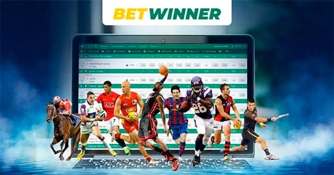 Understanding the Dynamics of Sports Betting