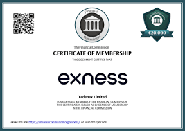 Your Ultimate Guide to Exness App Trade Smarter